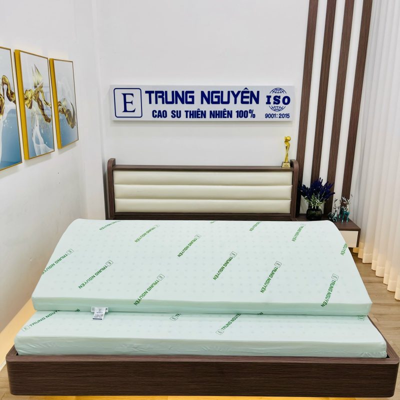 Nệm Cao Su Non Trung Nguyên - Ảnh 3