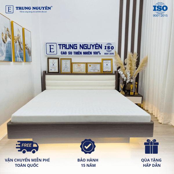 Nệm Cao Su Non Massage Trung Nguyên