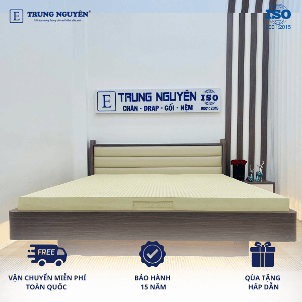 Nệm Cao Su Non Thiên Nhiên Electronic Trung Nguyên, 100% cao su non thiên nhiên