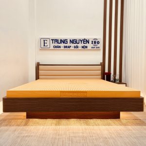 nem-cao-su-thien-nhien-duke