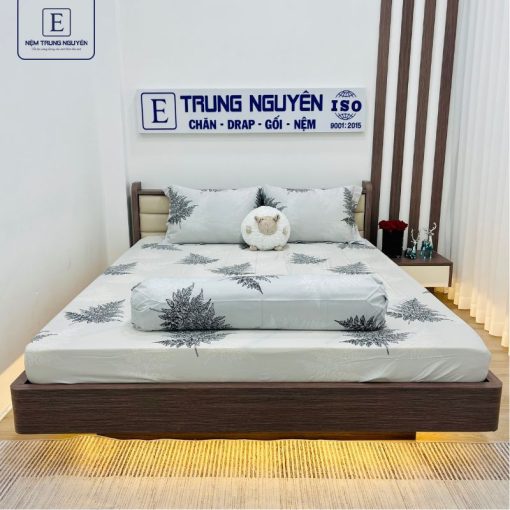 Nệm mềm vừa phải và những điều cần biết khi lựa chọn mau6 khongchan 510x510 1