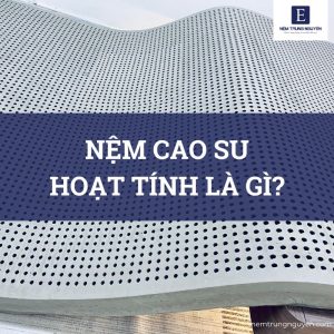 nem cao su hoat tinh la gi 4 300x300 1