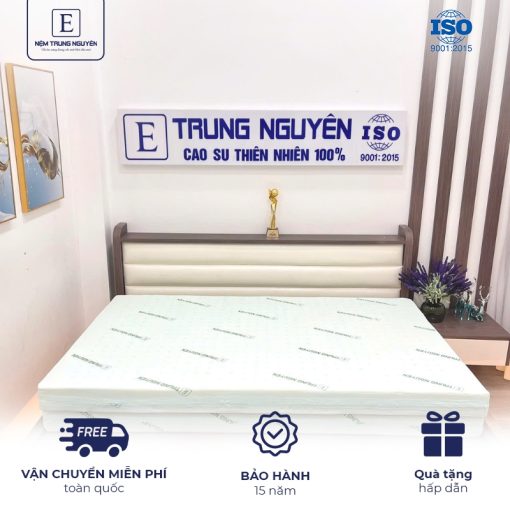 Nệm Cao Su Non Gấp 3 Trung Nguyên, Memory Cao Cấp