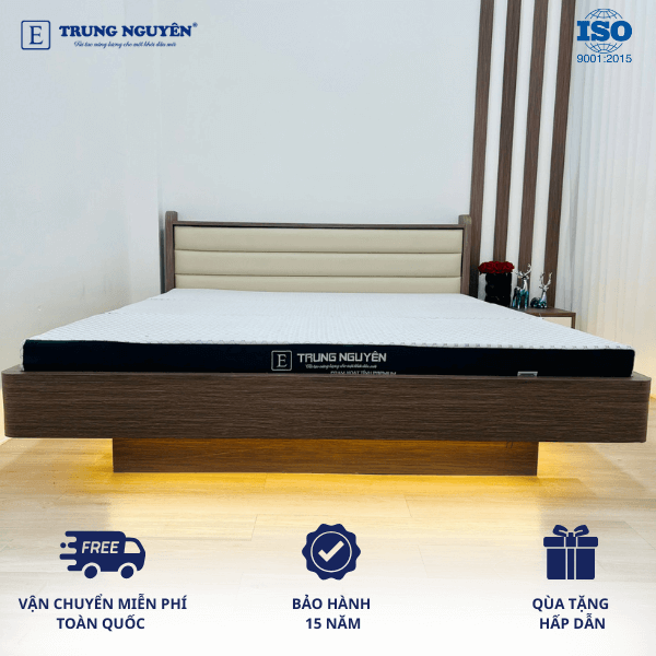 Nệm Foam Premium Hoạt Tính Trung Nguyên