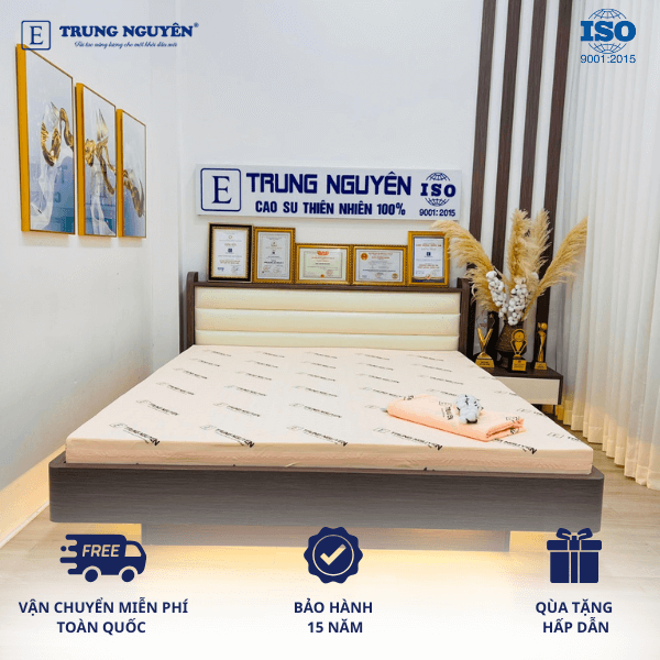 Nệm Rubber Foam Trung Nguyên