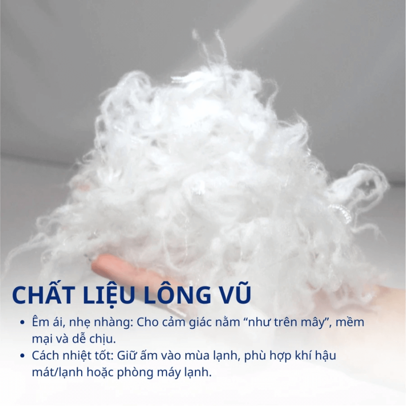 Nệm Topper Long Vũ Cao Cấp Trung Nguyên - Ảnh 4