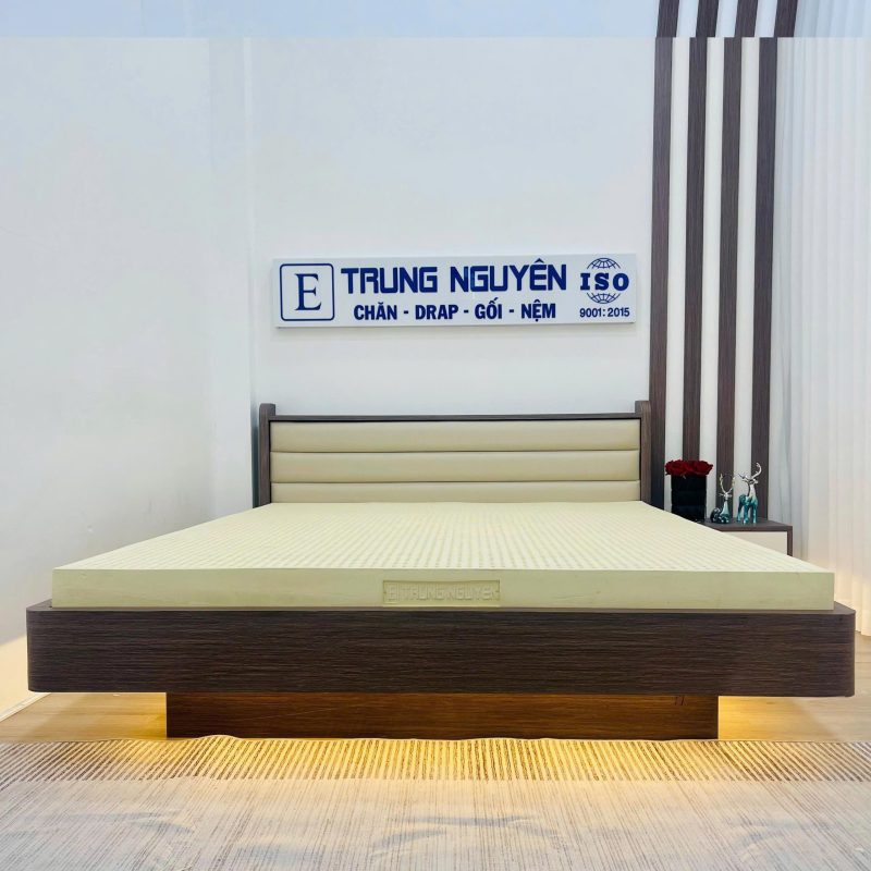 Nệm Cao Su Non Thiên Nhiên Electronic Trung Nguyên, 100% cao su non thiên nhiên - Ảnh 3