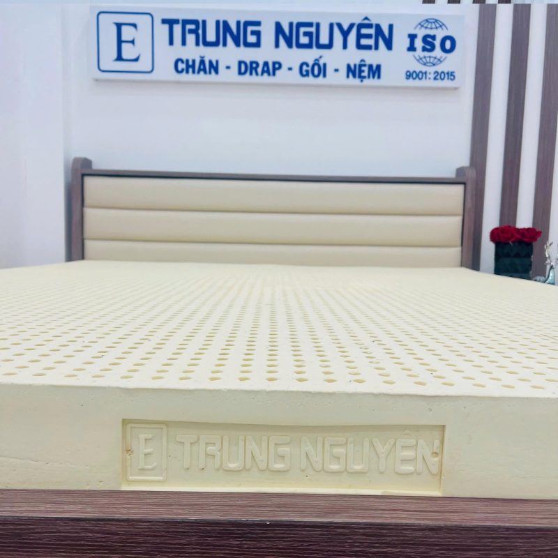 Nệm Cao Su Non Thiên Nhiên Electronic Trung Nguyên, 100% cao su non thiên nhiên - Ảnh 7