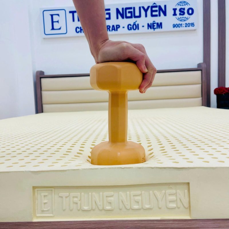Nệm Cao Su Non Thiên Nhiên Electronic Trung Nguyên, 100% cao su non thiên nhiên - Ảnh 8
