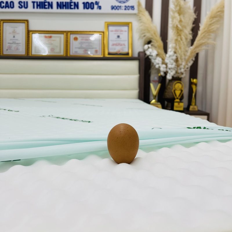 Nệm Cao Su Non Massage Trung Nguyên - Ảnh 5