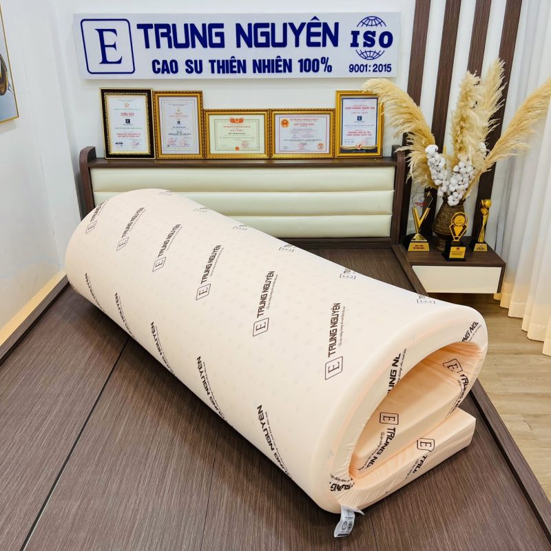 Nệm Rubber Foam Trung Nguyên - Ảnh 4