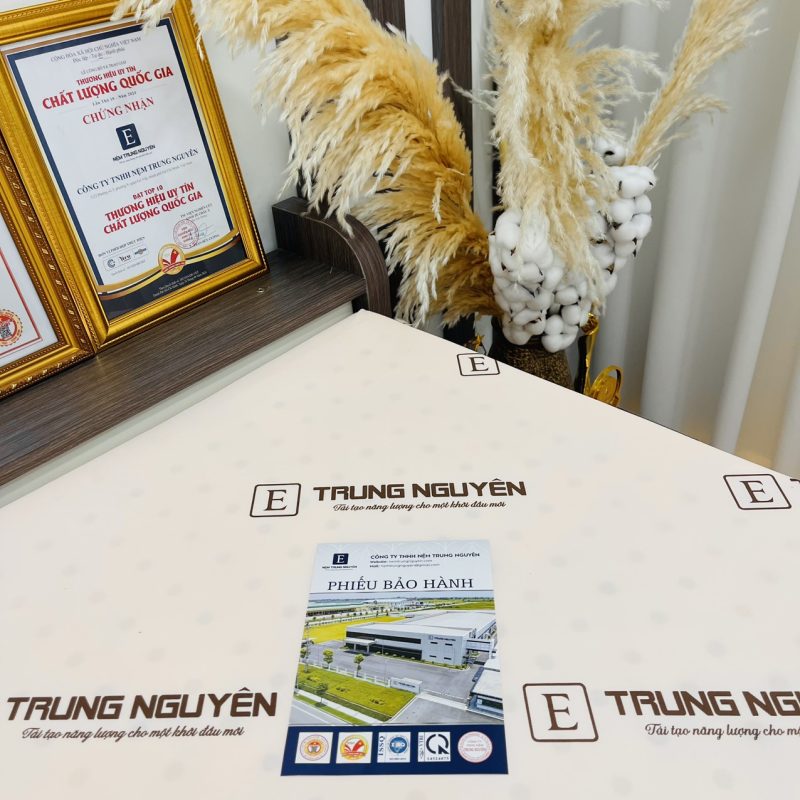 Nệm Rubber Foam Trung Nguyên - Ảnh 6