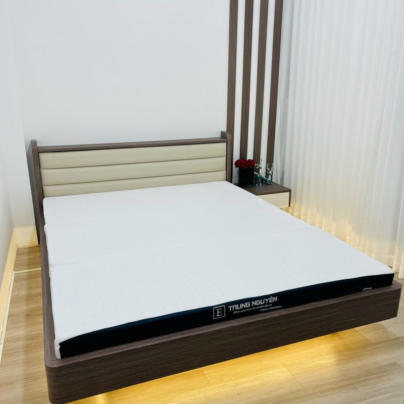 Nệm Foam Premium Trung Nguyên - Ảnh 3