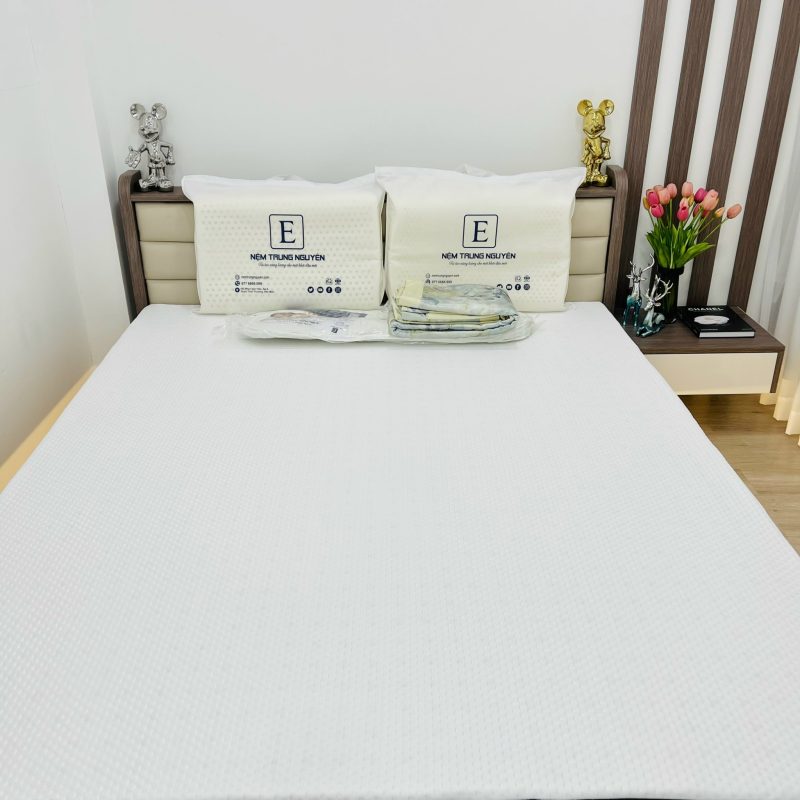 Nệm Foam Premium Trung Nguyên - Ảnh 6