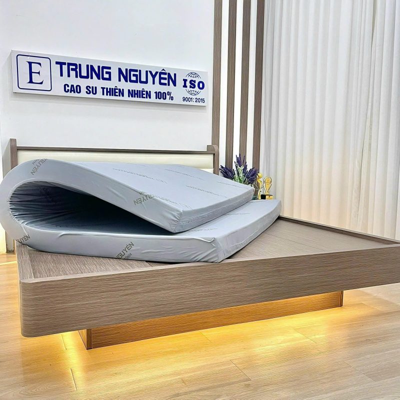 Nệm Cao Su Non Than Hoạt Tính Trung Nguyên - Ảnh 4