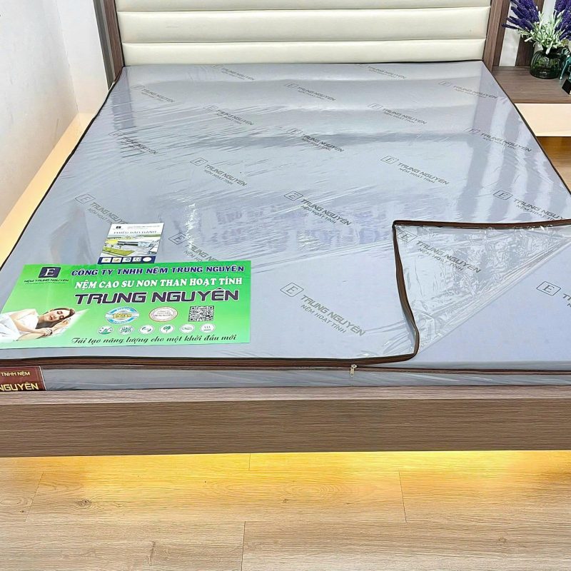 Nệm Cao Su Non Than Hoạt Tính Trung Nguyên - Ảnh 3