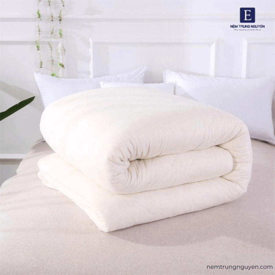 Top 8 các loại chăn mùa đông đáng mua dành cho bạn chan chan bong