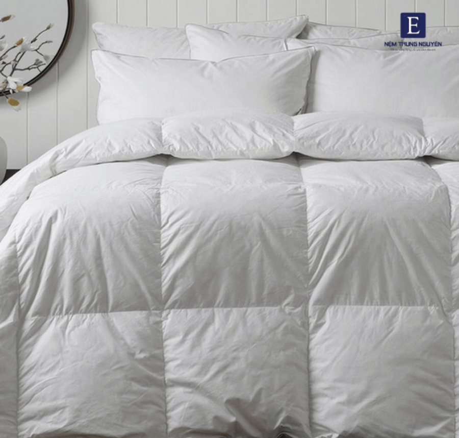 Top 8 các loại chăn mùa đông đáng mua dành cho bạn chan long vu e1761029010534