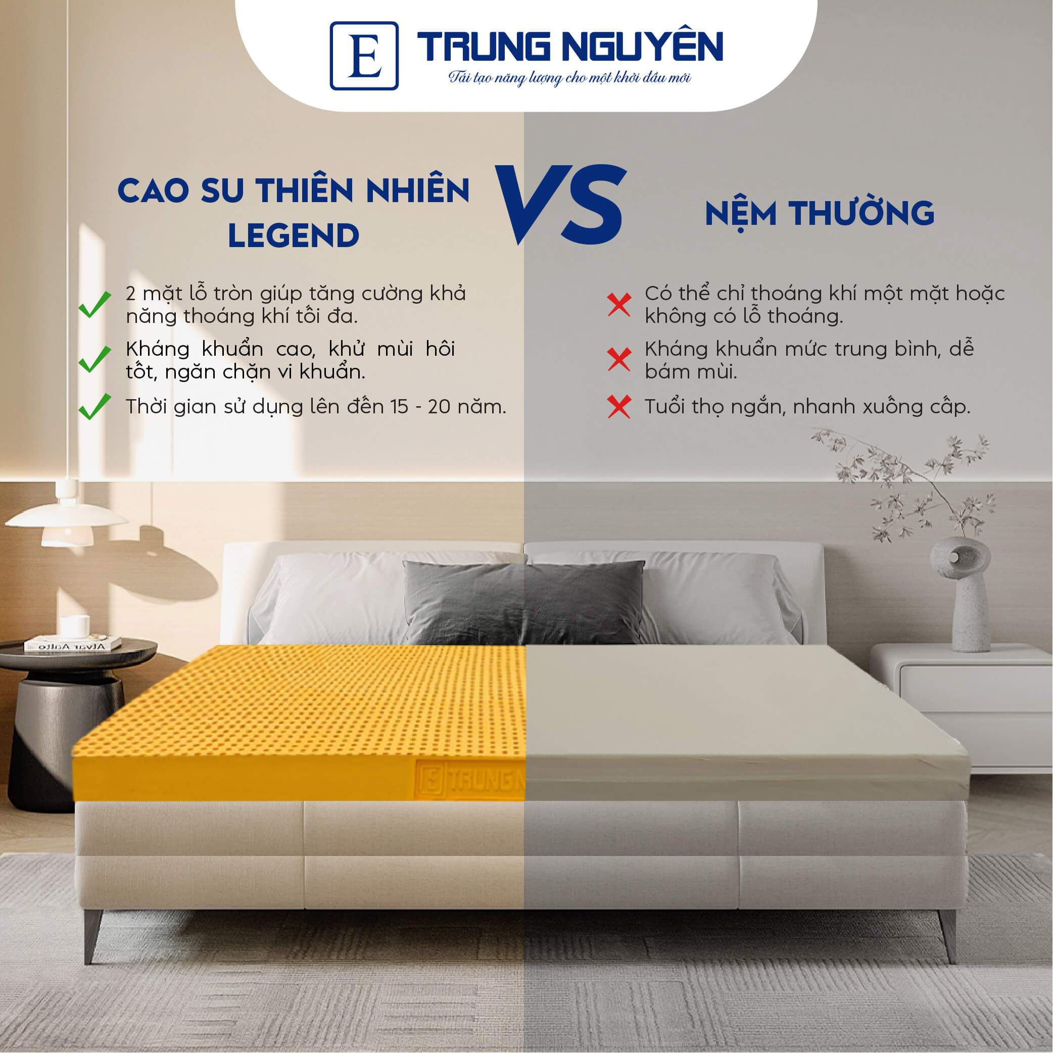 do ben cua nem cao su thien nhien duke