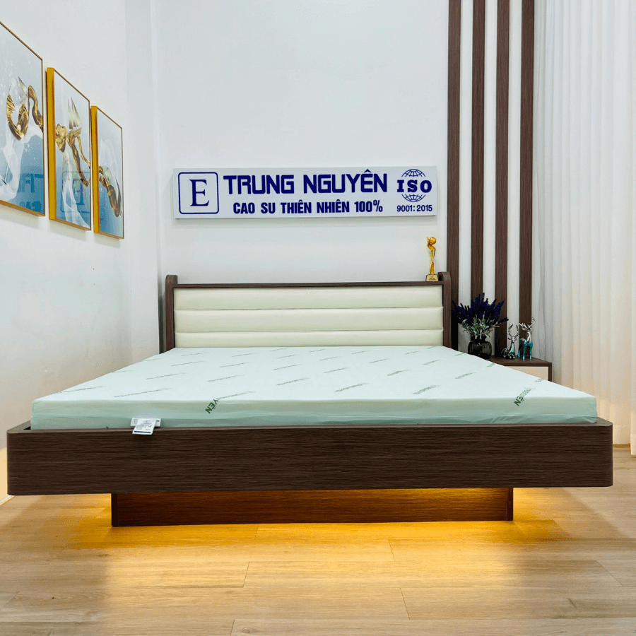nệm cao su non