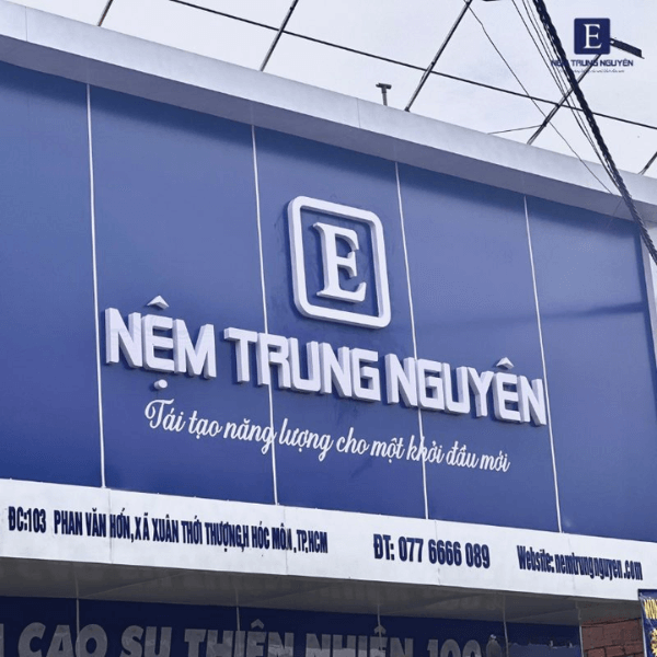 Top Nệm Tốt Nhất Năm 2025 Được Lựa Chọn Nhiều Nhất – Chọn Đúng, Ngủ Ngon showroom nem trung nguyen 3