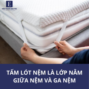 tam lot nem la gi 2