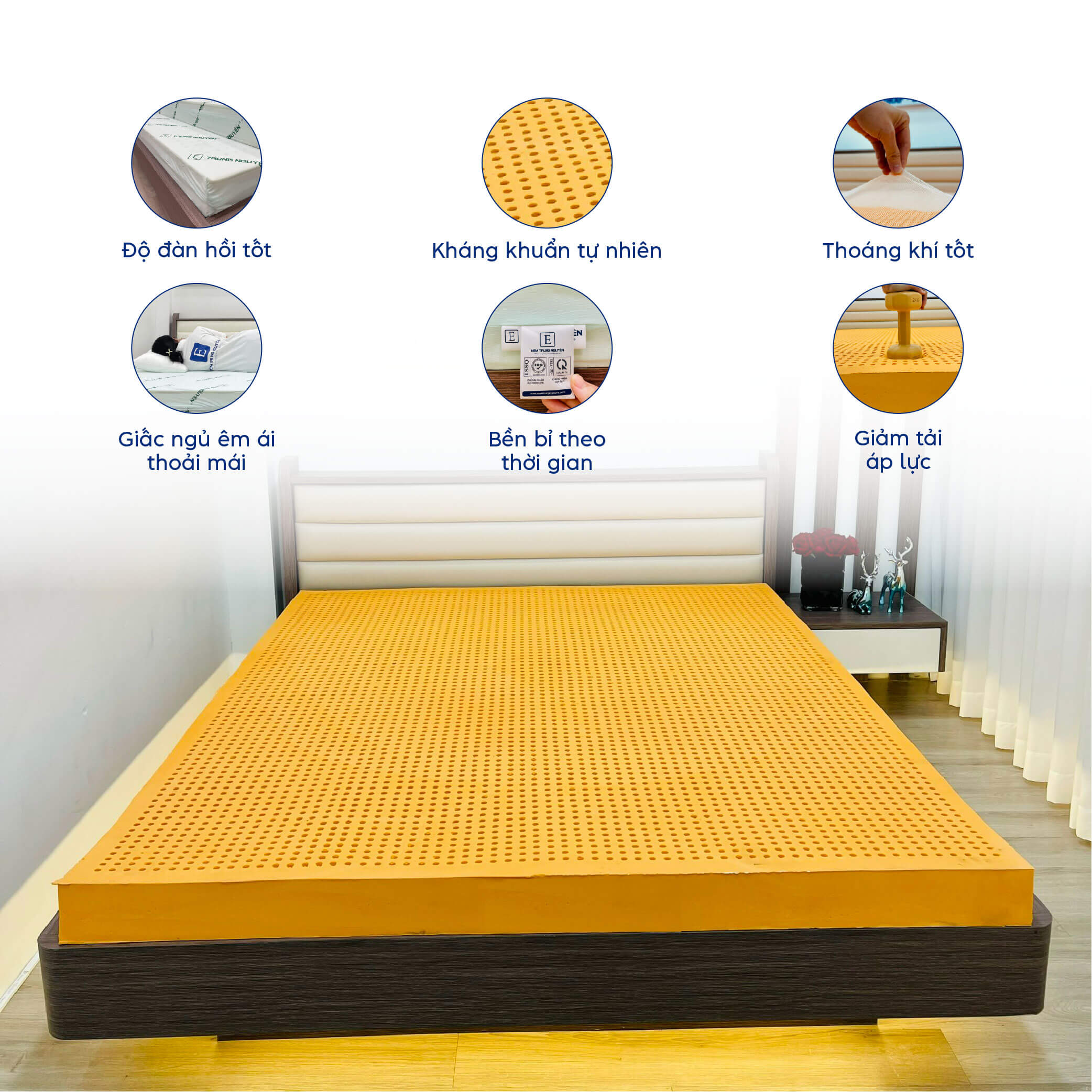 nệm cao su thiên nhiên duke